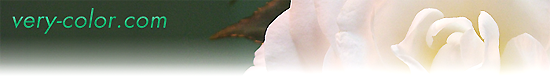Database_B_ALL