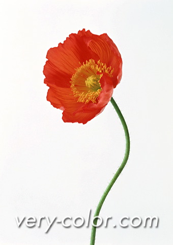 ap15105.jpg