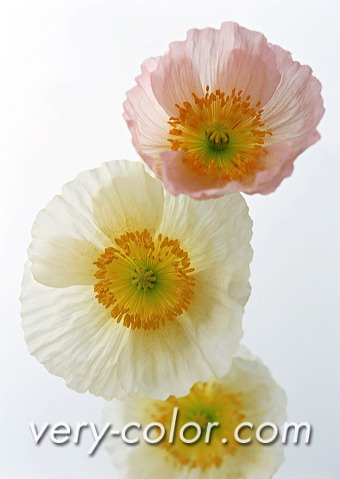ap15113.jpg