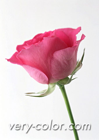 ap15118.jpg