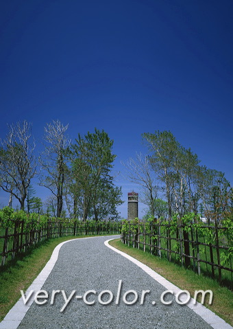 ap24159.jpg