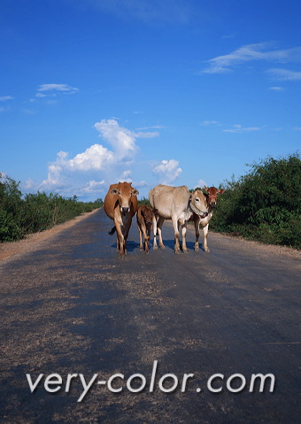 ap46153.jpg