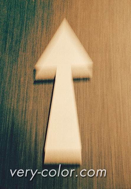 371014.jpg